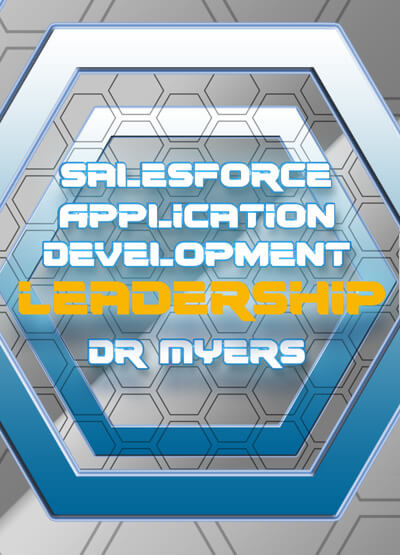 Salesforce Application Development Leadership